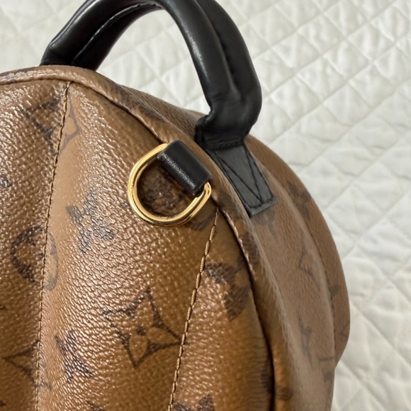 Louis Vuitton Palm Springs Mini Backpack main image 16